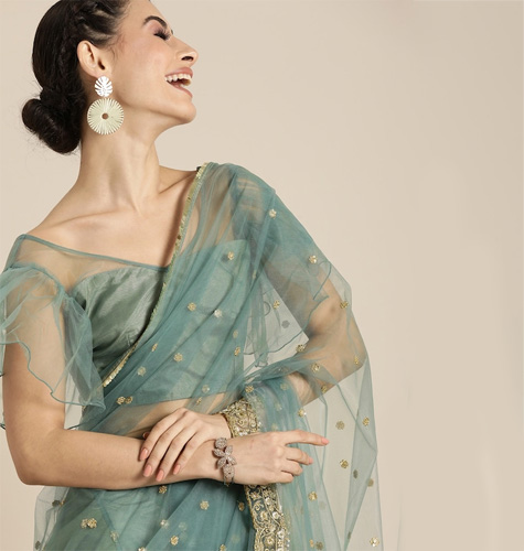 Green & Gold-Toned Net Embroidered Saree